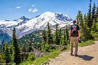 Image result for Washington National Parks Road Trip