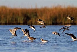 Image result for Texas Nature Reserves