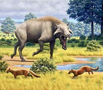 Image result for Prehistoric Mammals