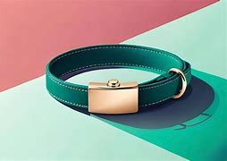 Image result for Green Buckle Belt