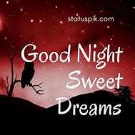 Image result for Good Mid Night Sweet Dreams