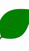 Image result for Small Leaf