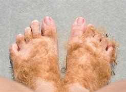 Image result for Hobbit Feet Frodo