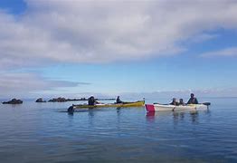 Image result for Golden Bay Kayaks