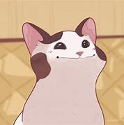 Image result for Cute Anime Cat PFP