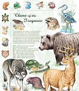 Image result for Iroquois Symbols