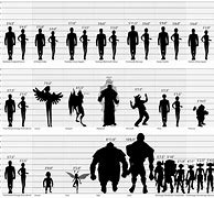 Image result for Human Height Chart Age