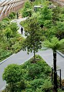 Image result for Crossrail Place Roof Garden Background