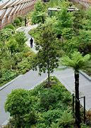 Image result for Crossrail Place Roof Garden