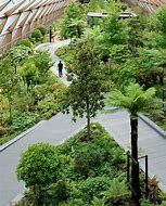 Image result for Rooftop Garden Crossrail Place