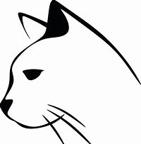 Image result for Black and White Cat Head