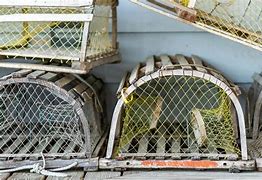 Image result for Budgie Cages