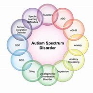 Image result for With Autism Spectrum Disorder