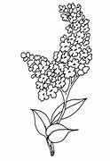 Image result for Lilac Clip Art Black and White