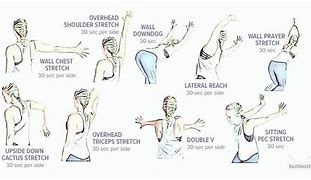 Image result for Shoulder Muscles Stretching