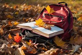 Image result for Rucksack Book On Outside