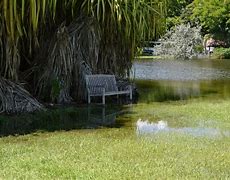 Image result for Bench Nature