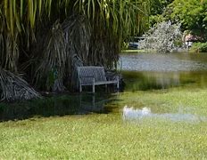 Image result for Nature Preserve Bench