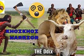 Image result for Khoikhoi Warriors