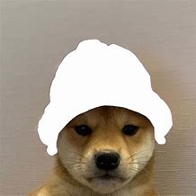 Image result for Dog Meme PNG