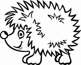 Image result for Hedgehog Outline