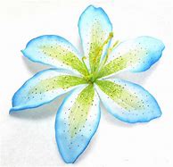 Image result for Blue Lily Clip Art