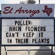 Image result for Texas Store Funny Signs