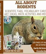 Image result for Rodent Family Tree