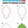 Image result for Draw Leaf