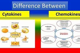 Image result for Chemokinesis