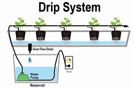 Image result for Drip System