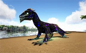 Image result for Rock Drake Poloroid