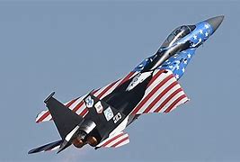 Image result for F-15 Eagle Camo