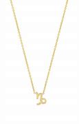 Image result for Capricorn Necklace