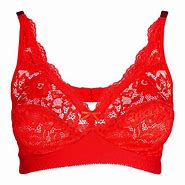 Image result for Tassled Bra