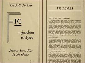 Image result for Figs Production Turkey