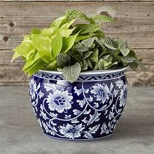 Image result for Unique Indoor Plant Pots