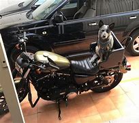 Image result for Motorcycle Dog Carrier Seat