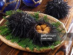 Image result for Urchin Inside