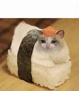 Image result for Cat Meme Print