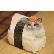 Image result for Pat Cat Image Meme