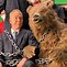 Image result for Bear Animatronic OC