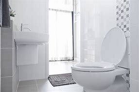 Image result for Indoor Toilet