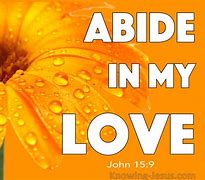 Image result for John 15 Abide in My Love