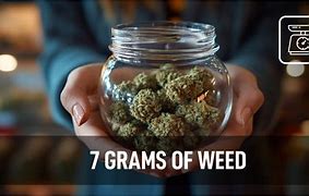 Image result for 12 Grams Weed