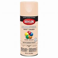 Image result for Krylon Matte White Spray-Paint