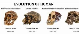 Image result for Oldest Human Skeleton Found