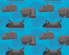 Image result for Hippo Background