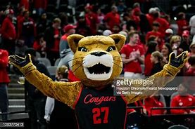 Image result for Houston University Mascot