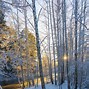 Image result for Landscape Frozen Wallpaper 4K